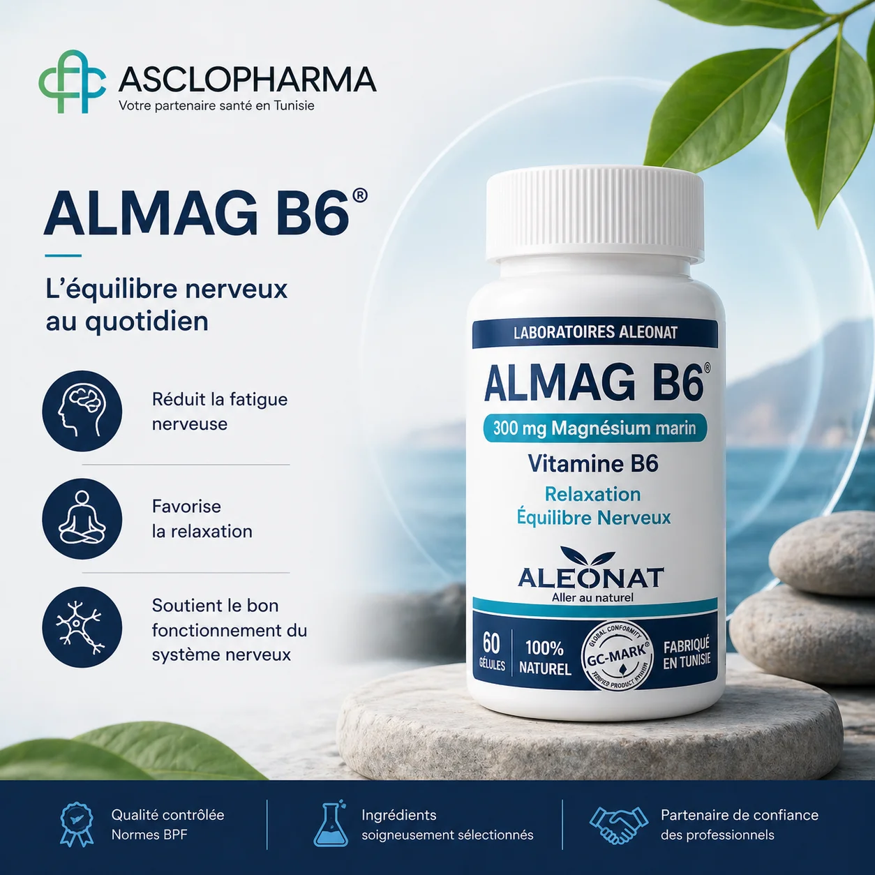 ALMAG B6® : Une réponse ciblée au stress et à la fatigue nerveuse